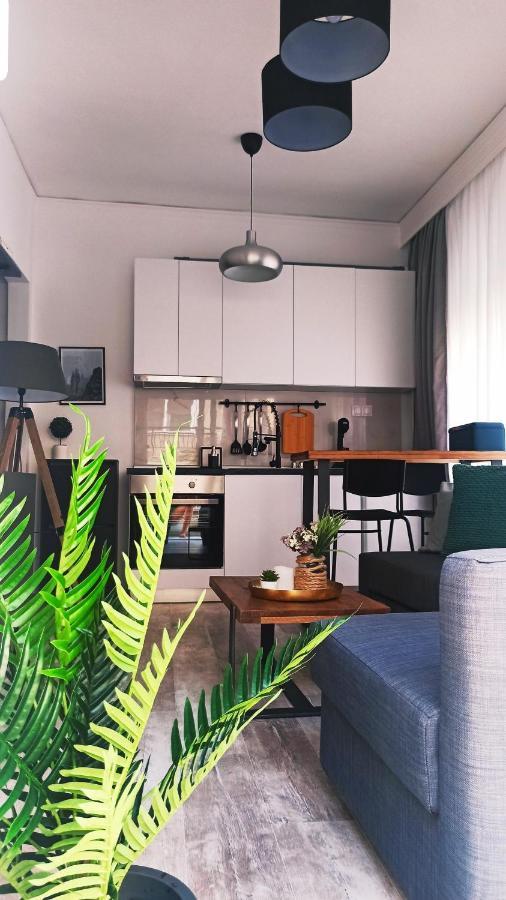 Down Town Luxurious Apartments Αλεξανδρούπολη Εξωτερικό φωτογραφία